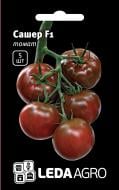 Насіння LedaAgro томат Сашер F1 5 шт. (4820119791820)