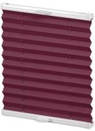 Штора-плиссе Rollotex ткань DUO ECORO 52х205 см Бордовый