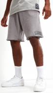 Шорты Ellesse TEMS SHORT SHV20029-112 р. 2XL серый