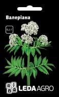 Семена LedaAgro валериана лекарственная 0,1 г (4820119792759)