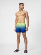 Шорти 4F 4FSS22TFSHM127-45A р. XL зелений