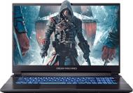 Ноутбук Dream Machines G1650Ti-17 17,3" (G1650TI-17UA56) black