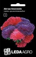 Насіння LedaAgro айстра хризантемоподібна Аполлонія суміш 0,2 г (4820119793411)