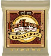 Набор струн Ernie Ball Inc. P02006