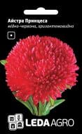 Насіння LedaAgro айстра хризантемоподібна Принцеса мідно-червона 0,2 г (4820119793435)