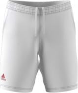 Шорты Adidas IPC84 FR4319 р. S белый