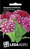 Насіння LedaAgro гвоздика китайська Перський Килим суміш 0,1 г (4820119793503)