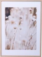 Картина Dry flowers 50x70 см Styler OB-14039