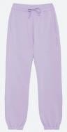 Брюки Les Benjamins SWEATPANT 303 LB24SSESSFUSP-303 р. XS фиолетовый