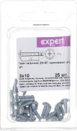 Винт с полукруглой головкой М3х10 мм Expert Fix DIN 967 25 шт.