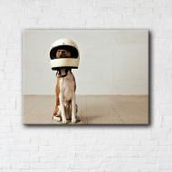 Постер Dog astronaut 90x120 см Brushme