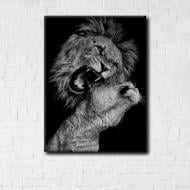 Постер Family of Lions 50x65 см Brushme