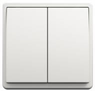 Вимикач двоклавішний Apolo без підсвітки білий 50101 TBR