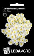 Насіння LedaAgro хризантема карликова Білі Зірки 0,2 г (4820119794852)