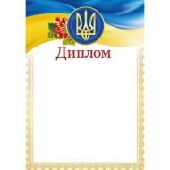 Диплом ДМ-031