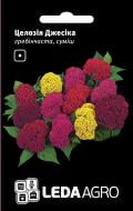 Насіння LedaAgro целозія Джесіка суміш 0,01 г (4820119794098)