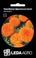 Насіння LedaAgro чорнобривці африканські Мандарин високі 0,25 г (4820119793770)