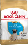 Корм сухой для щенков для средних пород Royal Canin PUG PUPPY (Паг Паппи), 0,5 кг (домашняя птица) 500 г