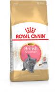 Корм сухий для кошенят породи британська короткошерста Royal Canin British Shorthair Kitten свійська птиця 400 г