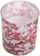 Свеча ароматическая в стекле Клюква (2) Bolsius