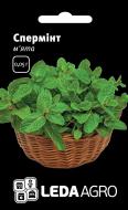 Семена LedaAgro мята лекарственная Сперминт 0,05 г (4820119792575)