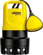 Насос дренажний Karcher SDP 5000 1.645-123.0