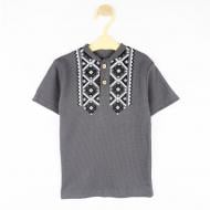 Футболка для хлопчиків Dexter`s Modern Folk р.110 d1102вф-ср