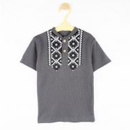 Футболка для хлопчиків Dexter`s Modern Folk р.128 d1102вф-ср