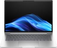 Ноутбук HP EliteBook 6 G1a 14" (B14F6AV_V2) silver