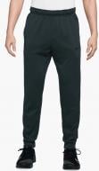 Брюки Nike Therma DQ5405-390 р. XL зеленый