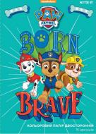 Бумага цветная двухсторонняя Paw Patrol PAW19-250