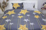Комплект постельного белья Бязь Ranforce Elite 17-0422 Golden Star 143х210 см мультиколор MirSon
