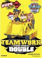 Картон белый Paw Patrol PAW19-254