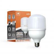 Лампа світлодіодна Євросвітло 30 Вт A60 E27 220 В 4200 К 42328