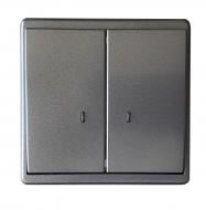 Выключатель двухклавишный Apolo с подсветкой графит 50062 TGR