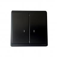 Выключатель двухклавишный Apolo с подсветкой черный матовый 50062 TPM