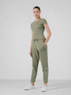 Брюки 4F 4FSS22TTROF066-42S р. XL зеленый