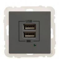 Розетка USB кінцева подвійна із заземленням Efapel Apolo IP20 графіт 50384 TGR