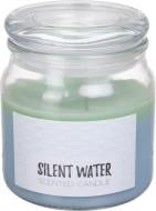 Свеча ароматическая Pako-If соевая в банке Тихая Вода 520 г