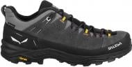 Кроссовки Salewa ALP TRAINER 2 GTX M 61400-0876 р.44