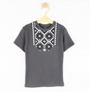 Футболка унисекс Dexter`s Cultural Flow р.104 d1101вф-ср