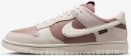 Кроссовки Nike DUNK LOW GTX HQ2053-002 р.41