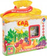 Игра настольная Vladi Toys Сад VT3101-01 Игра настольная Vladi Toys Сад VT3101-01