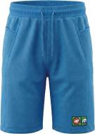Шорты 4F SHORTS CAS M0952 4FJWSS27TSHOM0952-33S р. 140 голубой