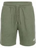 Шорты 4F SHORTS CAS M0956 4FWSS27TSHOM0956-42S р. L зеленый
