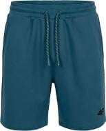 Шорты 4F SHORTS CAS M0956 4FWSS27TSHOM0956-46S р. L зеленый
