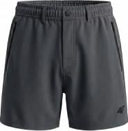 Шорты 4F SHORTS CAS M0945 4FWSS27TSHOM0945-23S р. L серый
