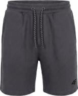 Шорты 4F SHORTS CAS M0956 4FWSS27TSHOM0956-25S р. L серый