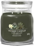 Свеча ароматическая Yankee Candle Medium Серебряный шалфей и сосна 1630027E