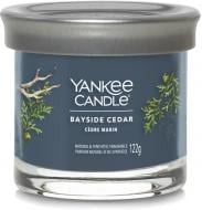 Свеча ароматическая Yankee Candle Small Кедр у залива (1744755E)